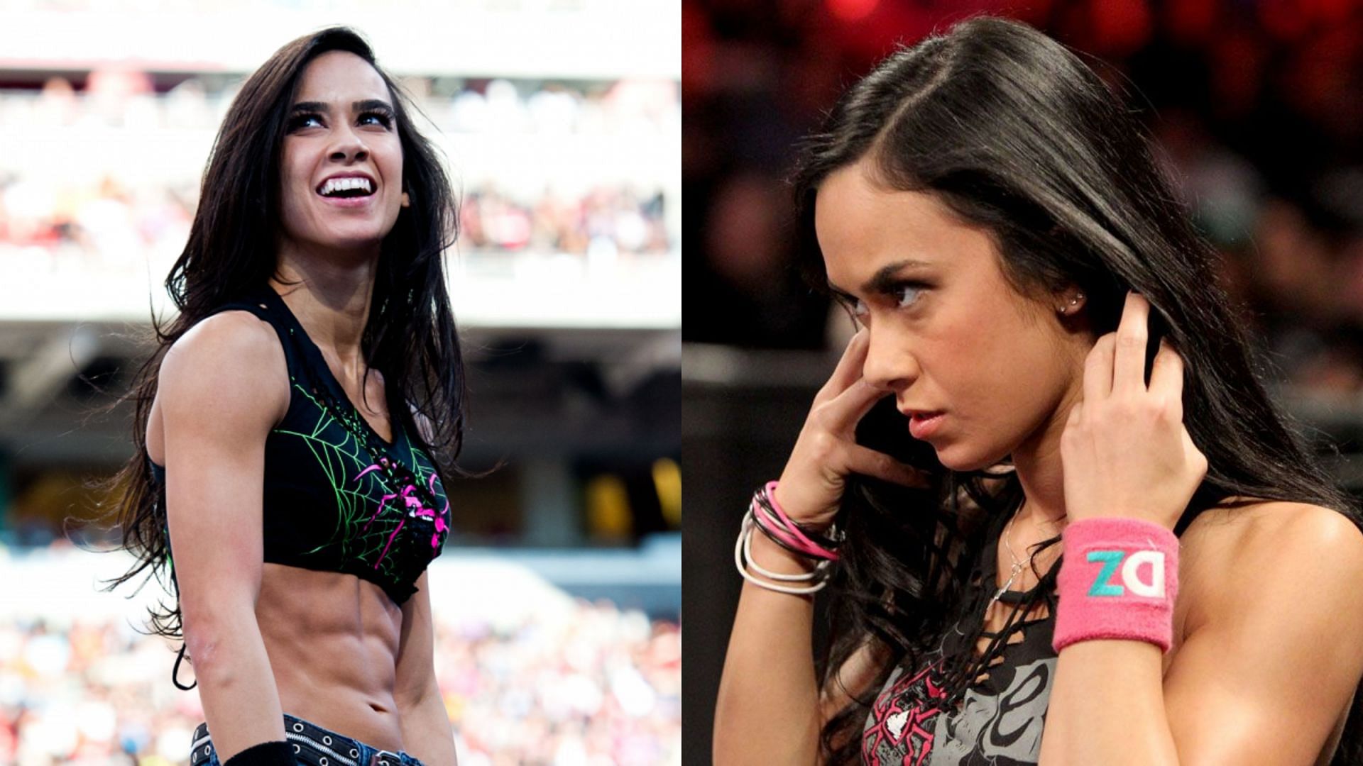 Former WWE Divas Champion AJ Lee