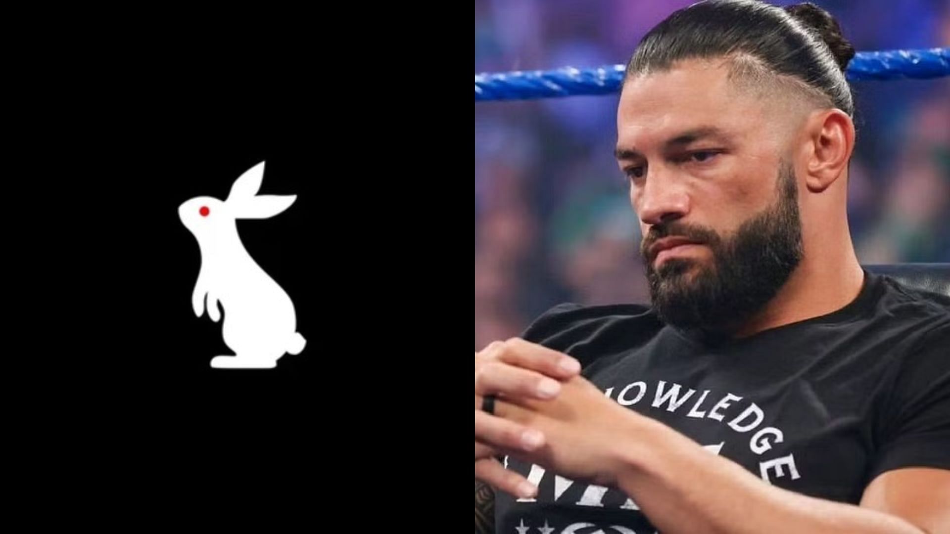 The White Rabbit could be a thorn in Roman Reigns