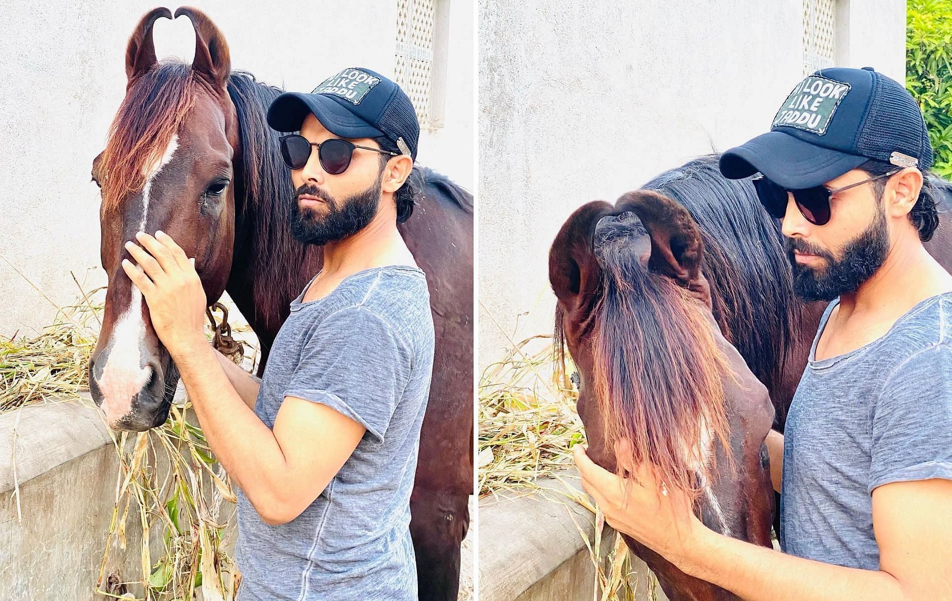 जडेजा ने घोड़े के साथ पोस्ट की तस्वीर 