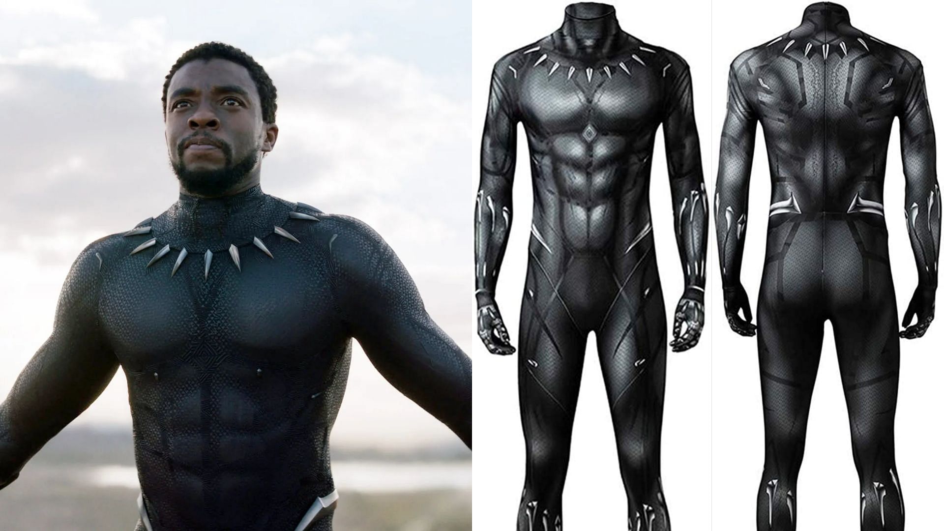 T&#039;Challa as Black Panther in MCU&#039;s Black Panther movie (Image via Marvel/ Amazon)