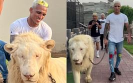 Watch: Charles Oliveira walks around with a lion on his leash while visiting Dubai ahead of UFC 280 title fight against Islam Makhachev - "Lion walks with lion"