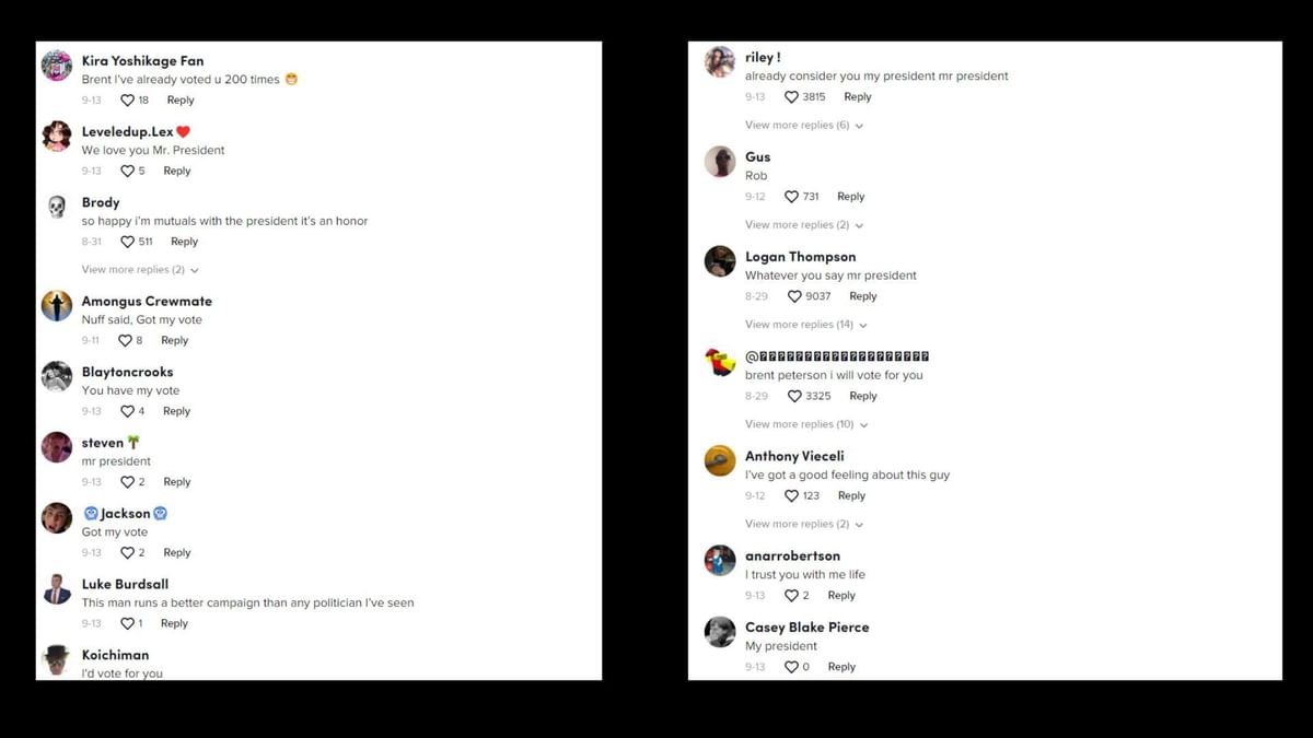 Who is Brent Peterson on TikTok? Netizen goes viral for presidential run claim