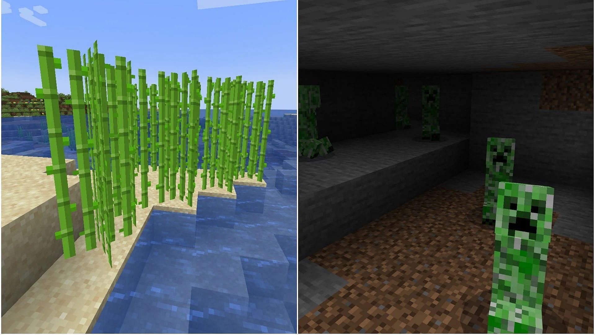To craft loads of fireworks in Minecraft, players will need Creeper and Sugarcane farm (Image via Sportskeeda)