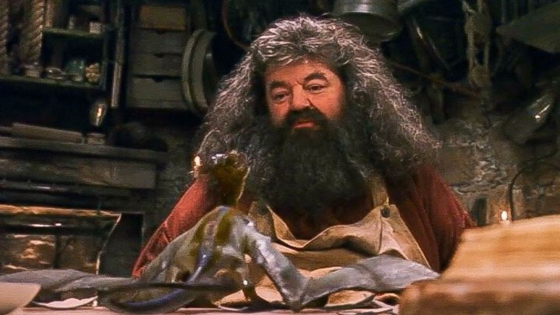Rubeus Hagrid (Image via Pinterest)