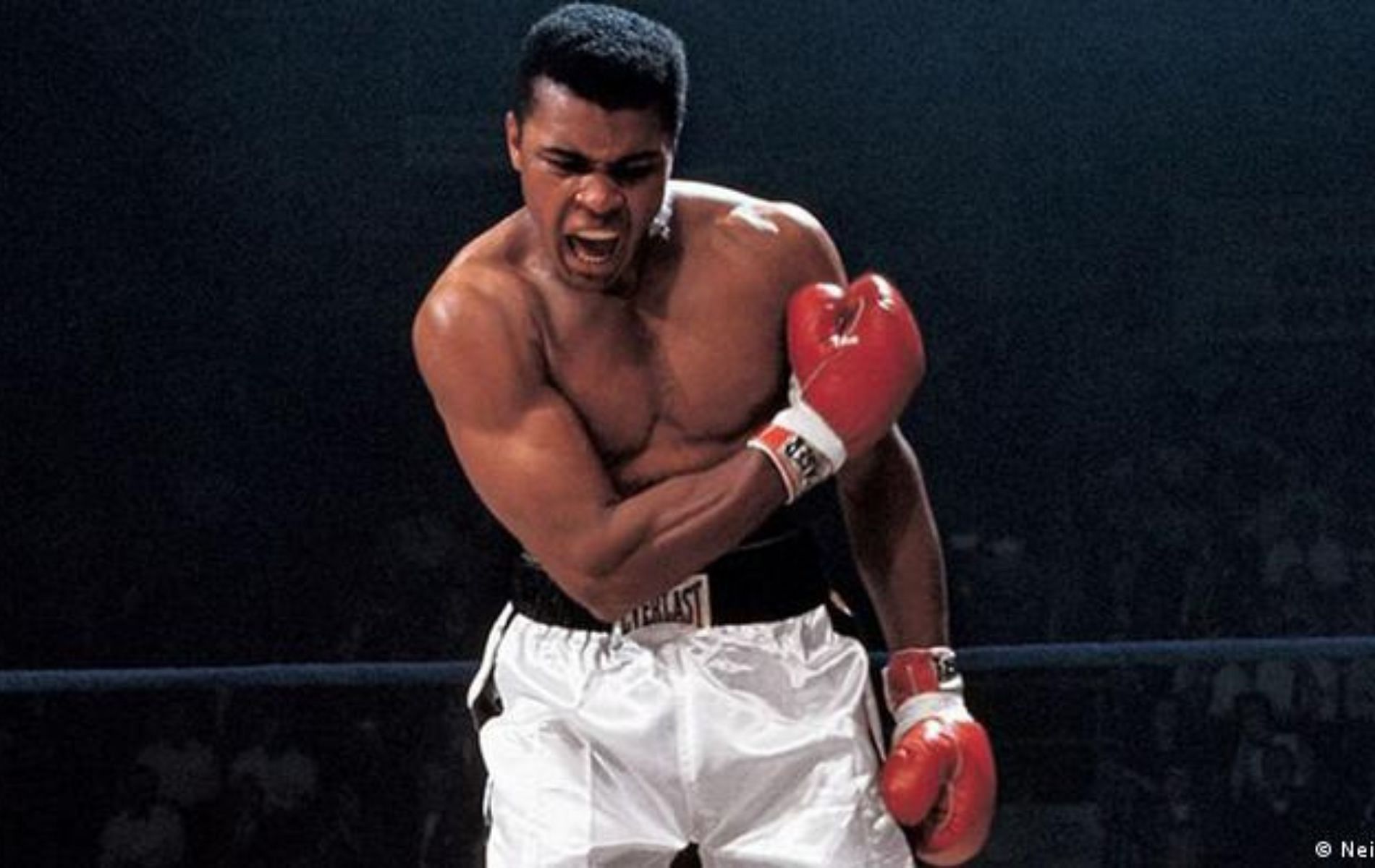 muhammad ali boxing stance