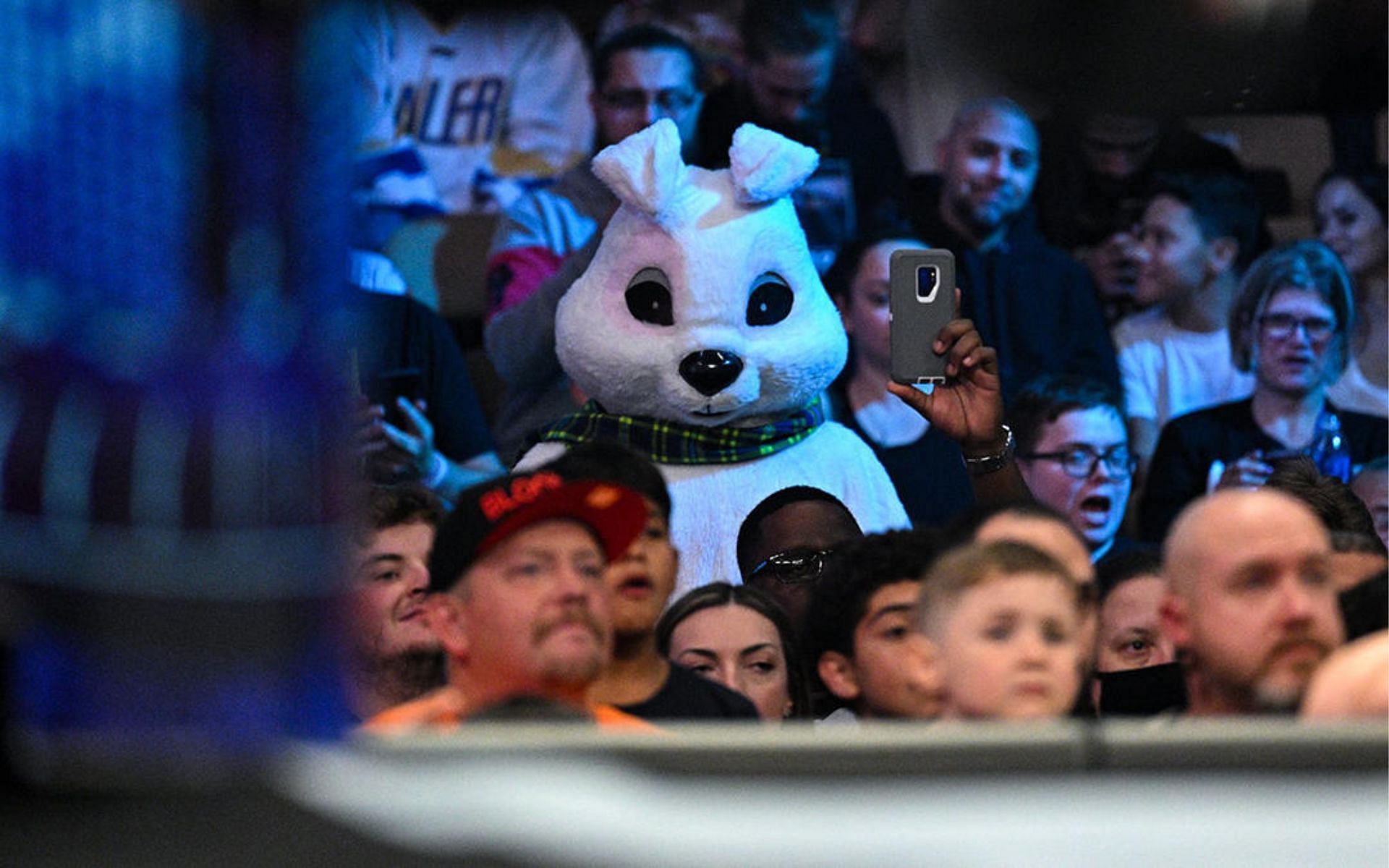 Potential White Rabbit swerve at WWE Extreme Rules 2022