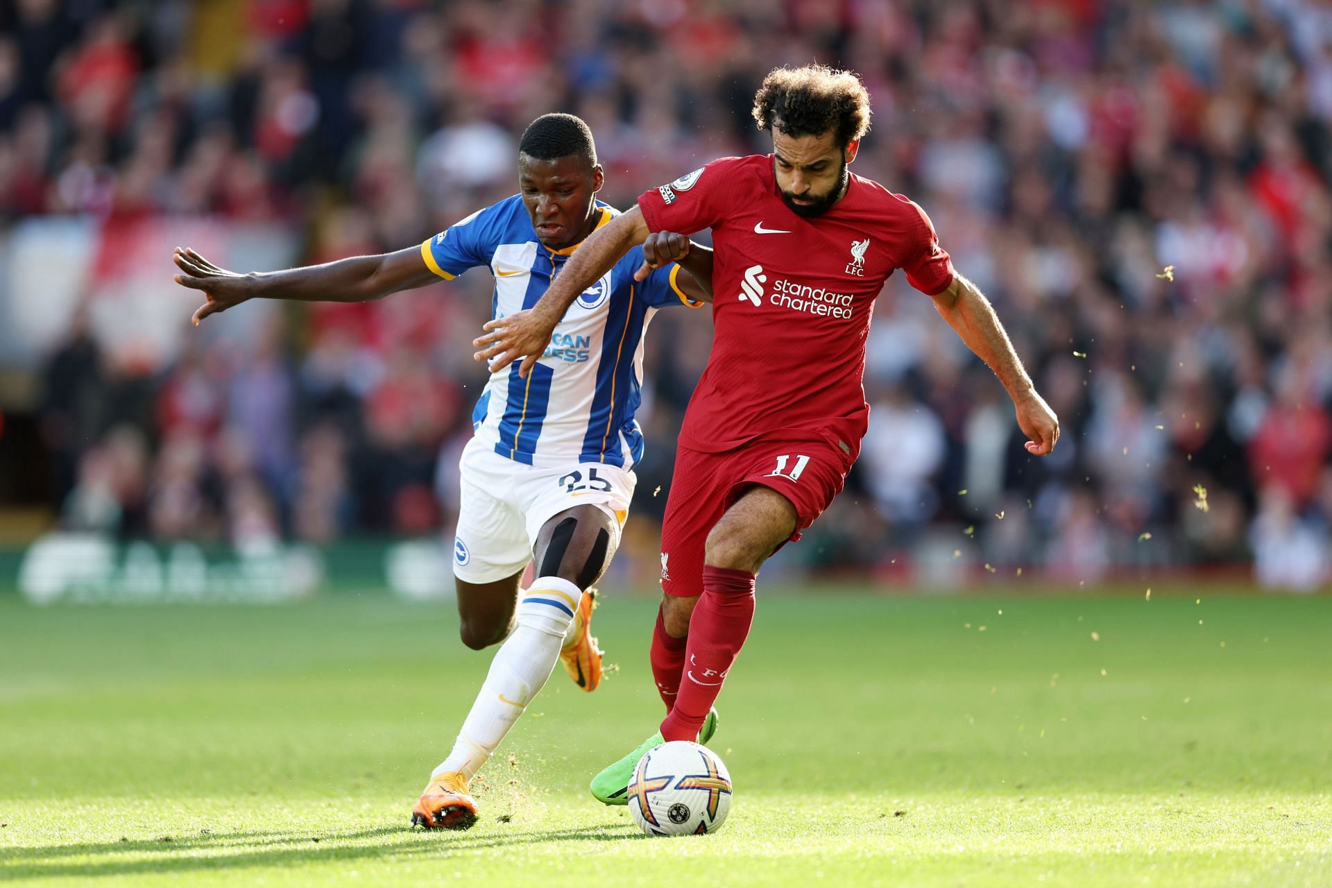 Liverpool 3-3 Brighton and Hove Albion Reds player ratings as erroneous display yields fourth draw in seven games Premier League 2022-23