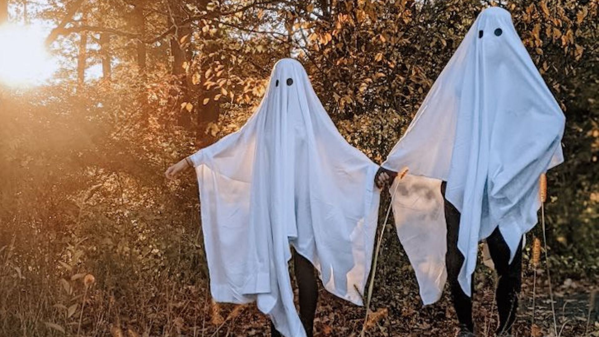 Halloween costumes (Image via Pinterest)