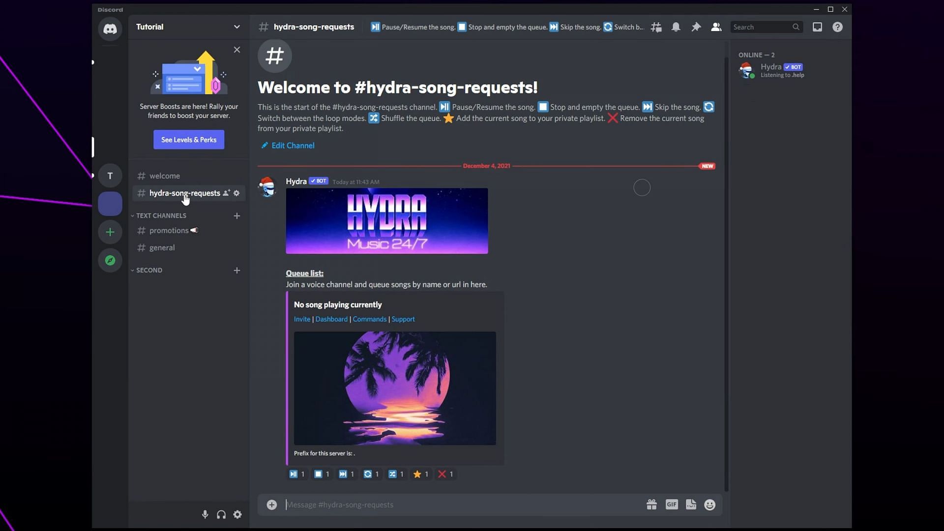 How to install and use Hydra bot in Discord for playing music