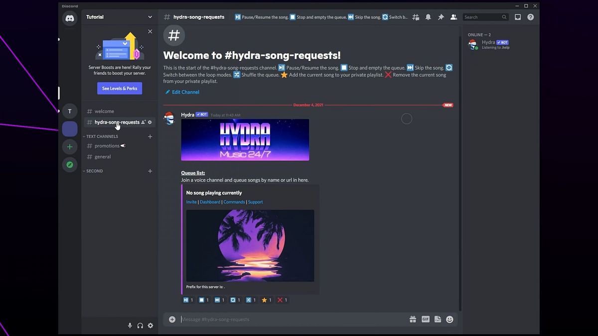 How to install and use Hydra bot in Discord for playing music