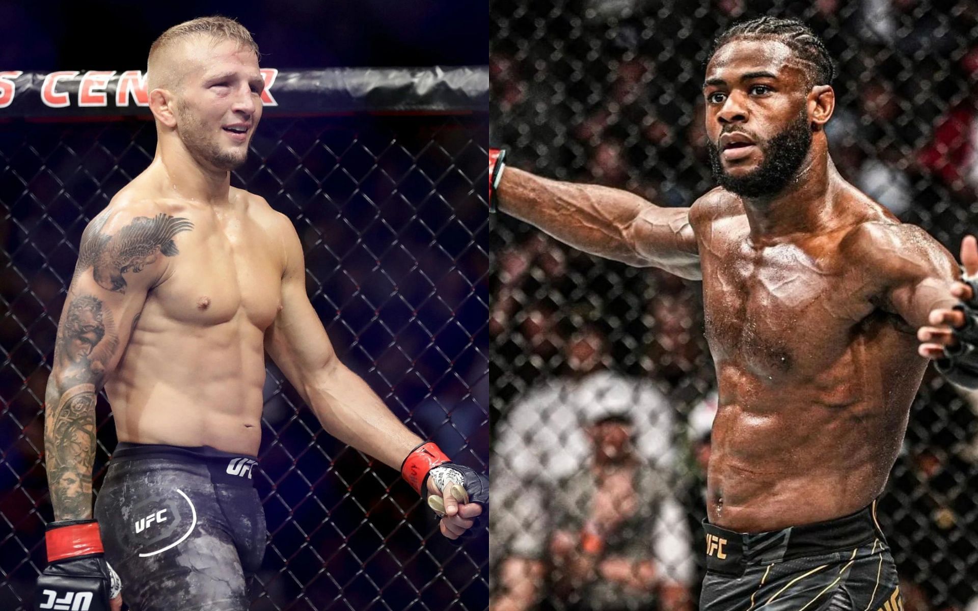 T.J. Dillashaw [Left] and Aljamain Sterling [Right]