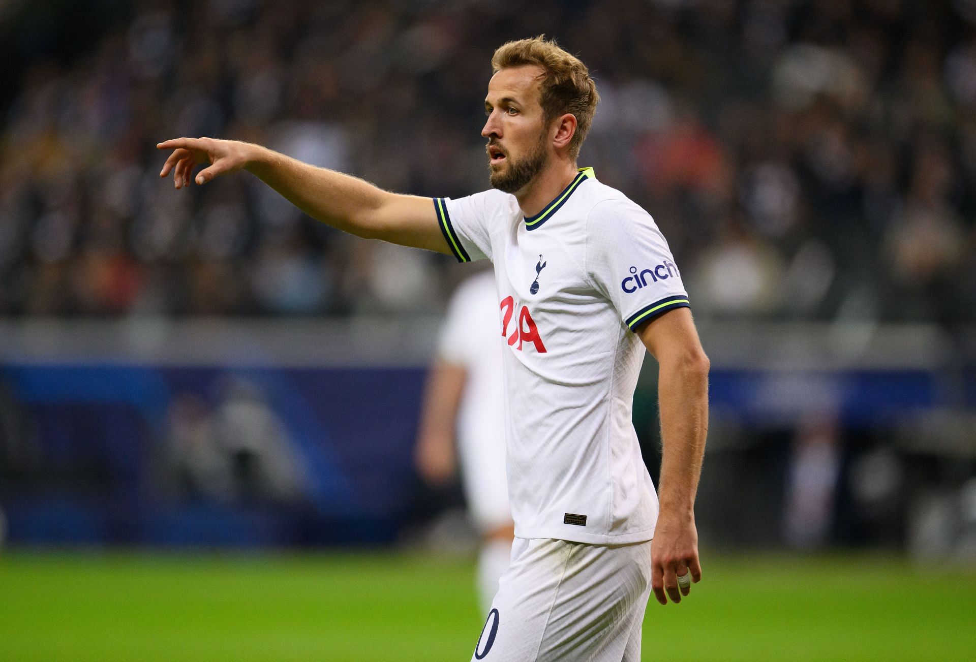 Eintracht Frankfurt v Tottenham Hotspur: Group D - UEFA Champions League