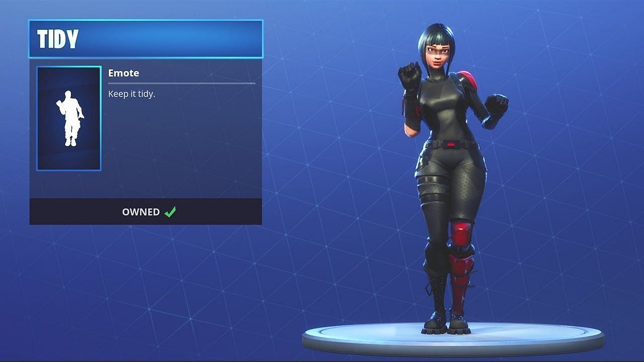 Tidy is another rare Fortnite Battle Royale emote (Image via Epic Games)