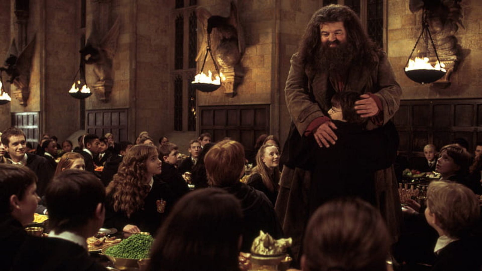 Harry and Rubeus Hagrid (Image via Peakpx)
