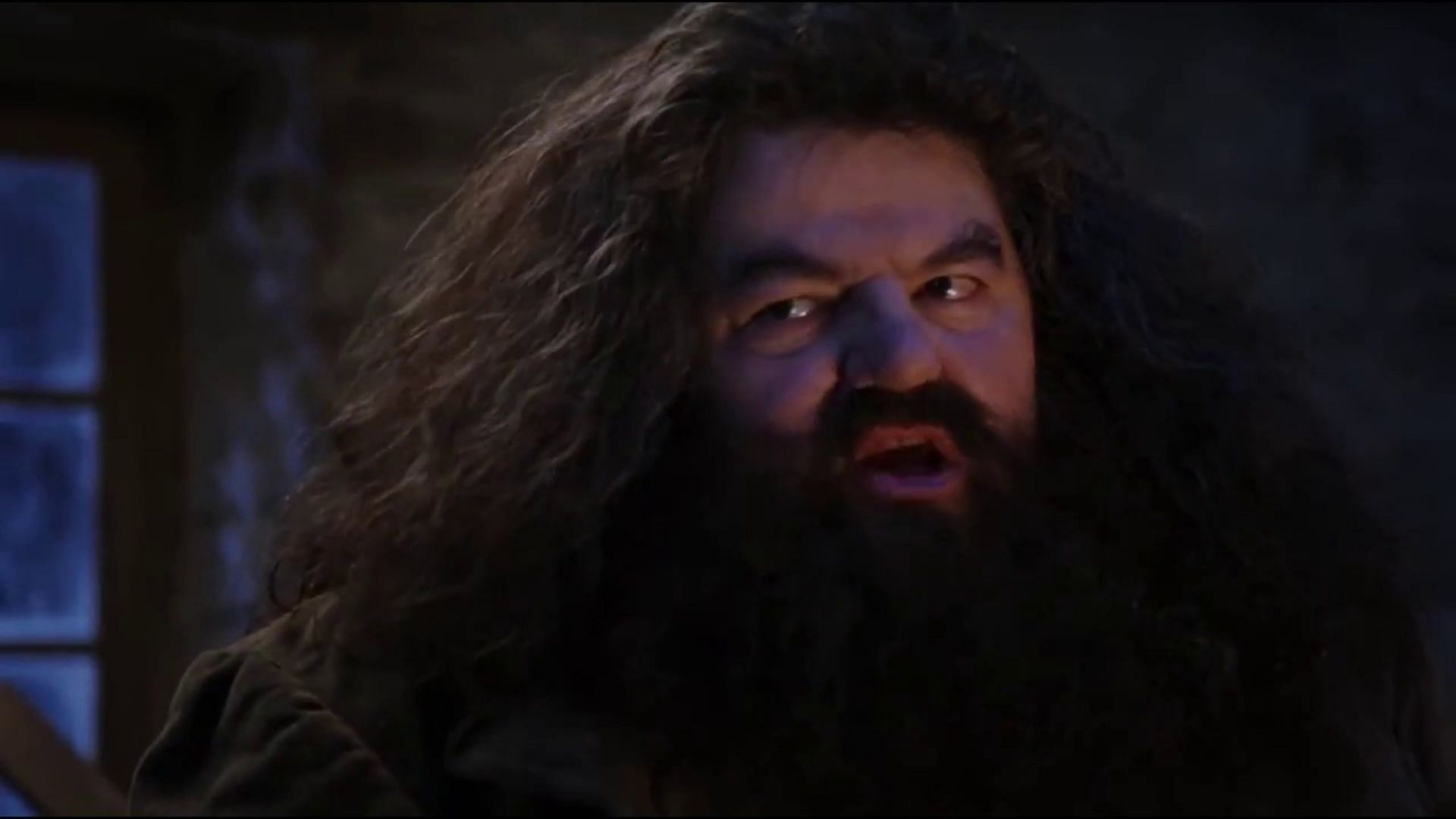 Rubeus Hagrid (Image via YouTube)