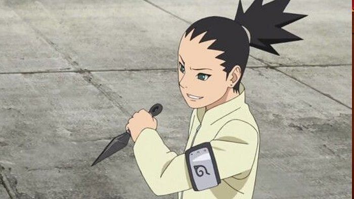 Shikadai Nara, Wiki Naruto