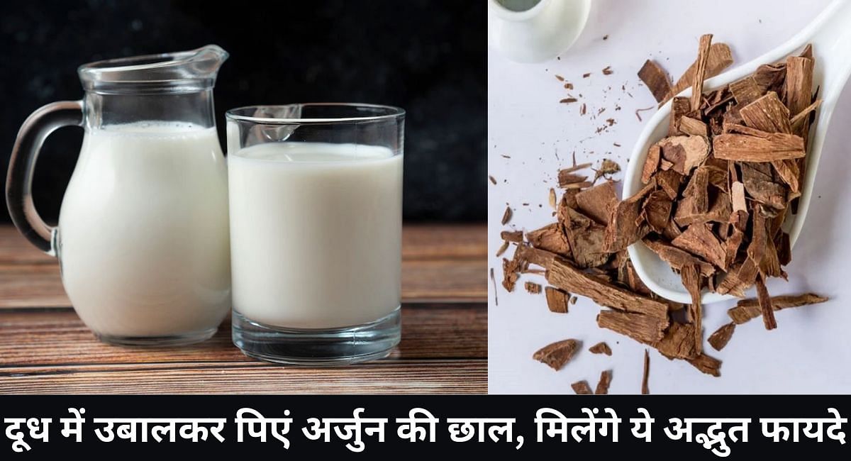 दूध में उबालकर पिएं अर्जुन की छाल, मिलेंगे ये अद्भुत फायदे(फोटो-Sportskeeda hindi)