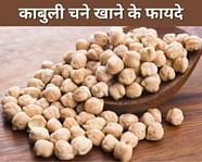 Chickpea Meaning In Hindi 50 OFF