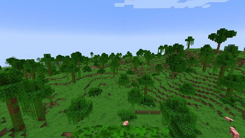 Sparse Jungle in Minecraft