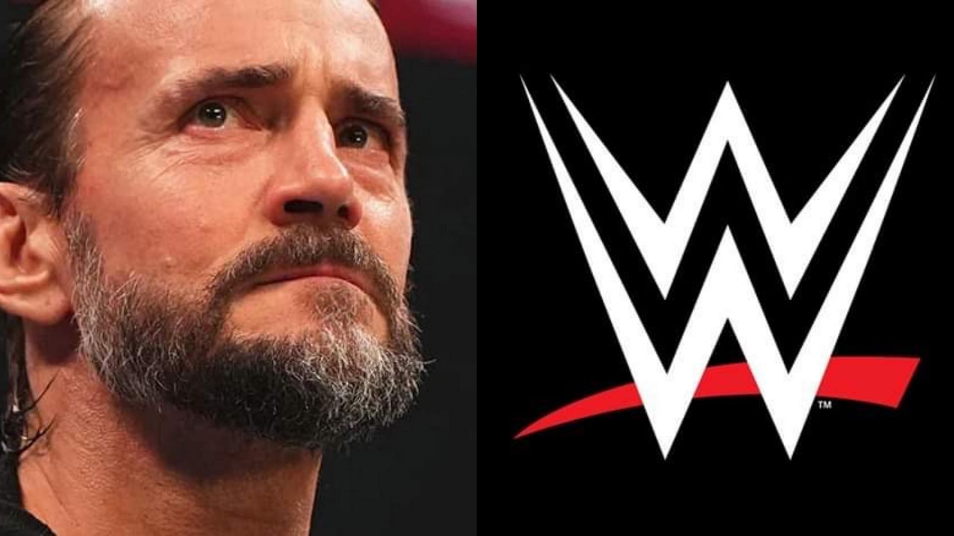 CM Punk is a very polarizing figure in the wrestling business