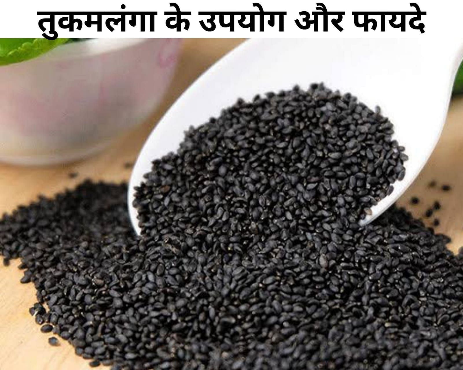 Tukh Malanga Ke Fayde In Urdu/Hindi (Basil Seeds Benefits)