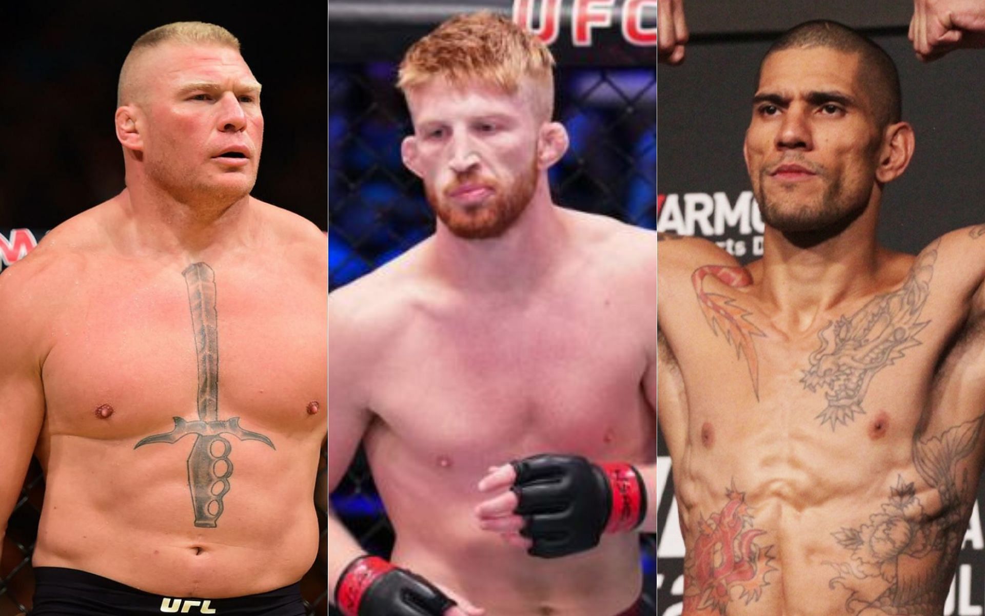 Brock Lesnar (left), Bo Nickal (centre), Alex Pereira (right)