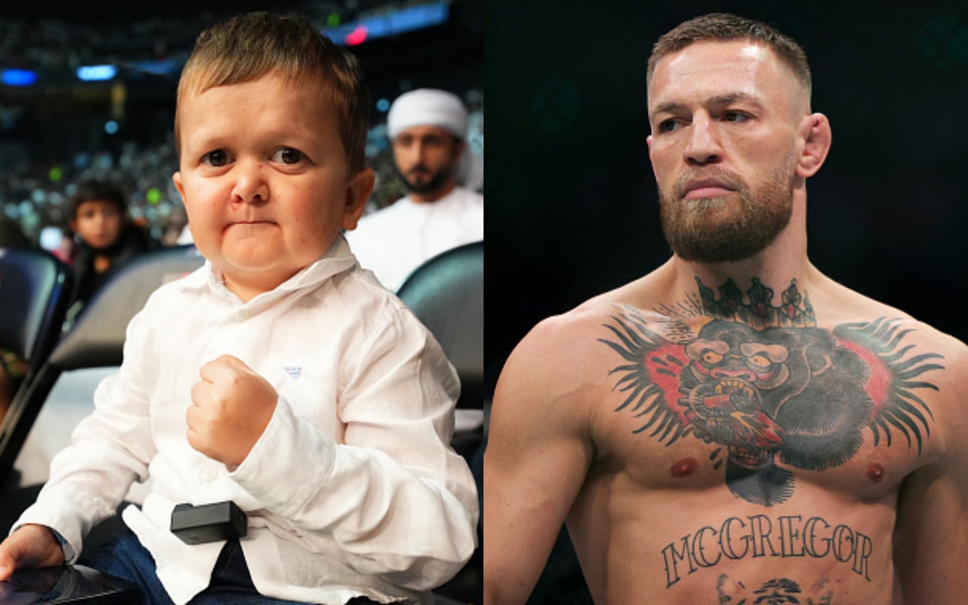 Hasbulla (left), Conor McGregor (right) [Images courtesy: Getty]