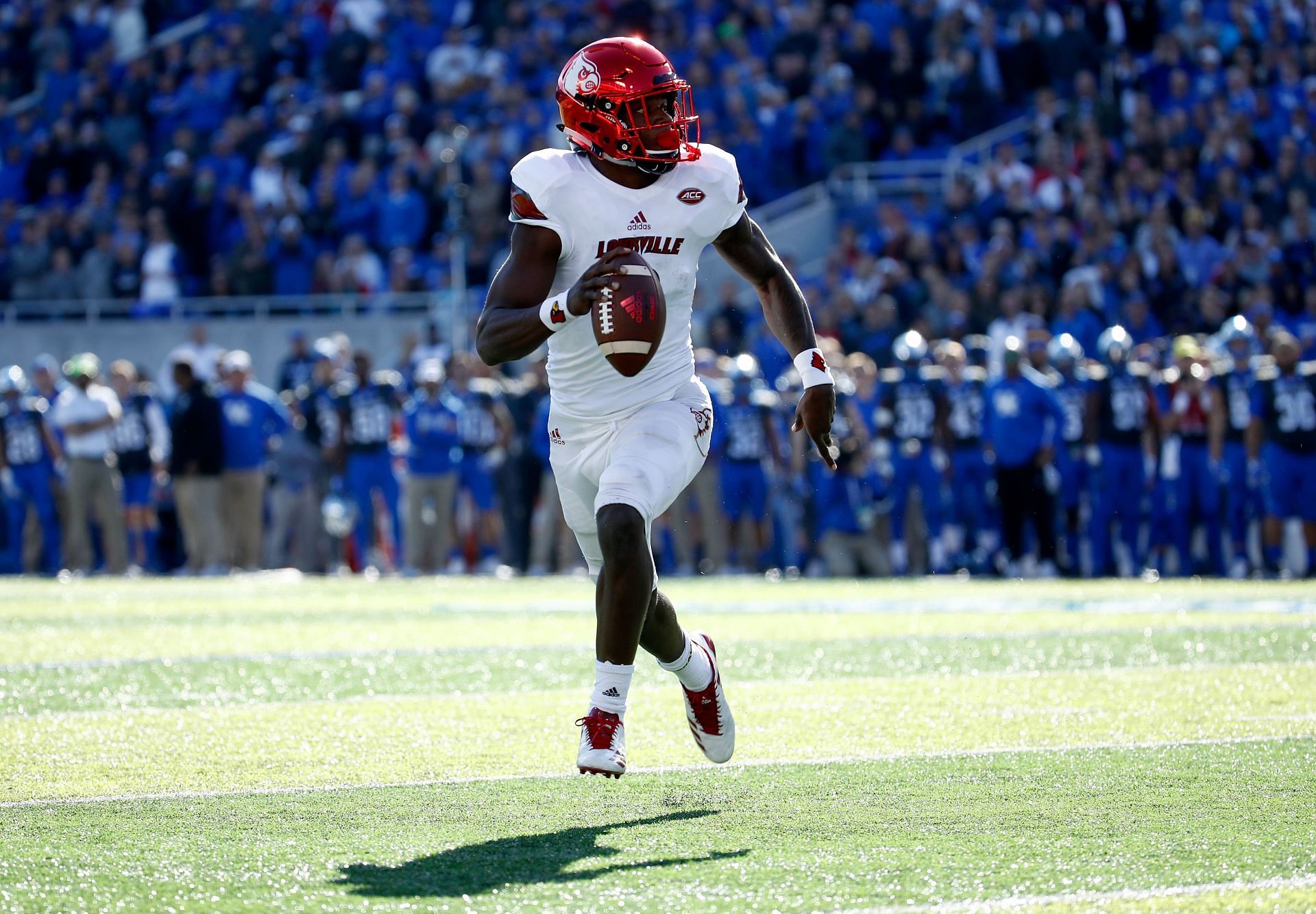 The QB with the Louisville Cardinals vs Kentucky