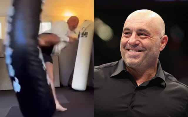 Fans wowed as Joe Rogan's incredible spinning back kick sends heavy bag ...