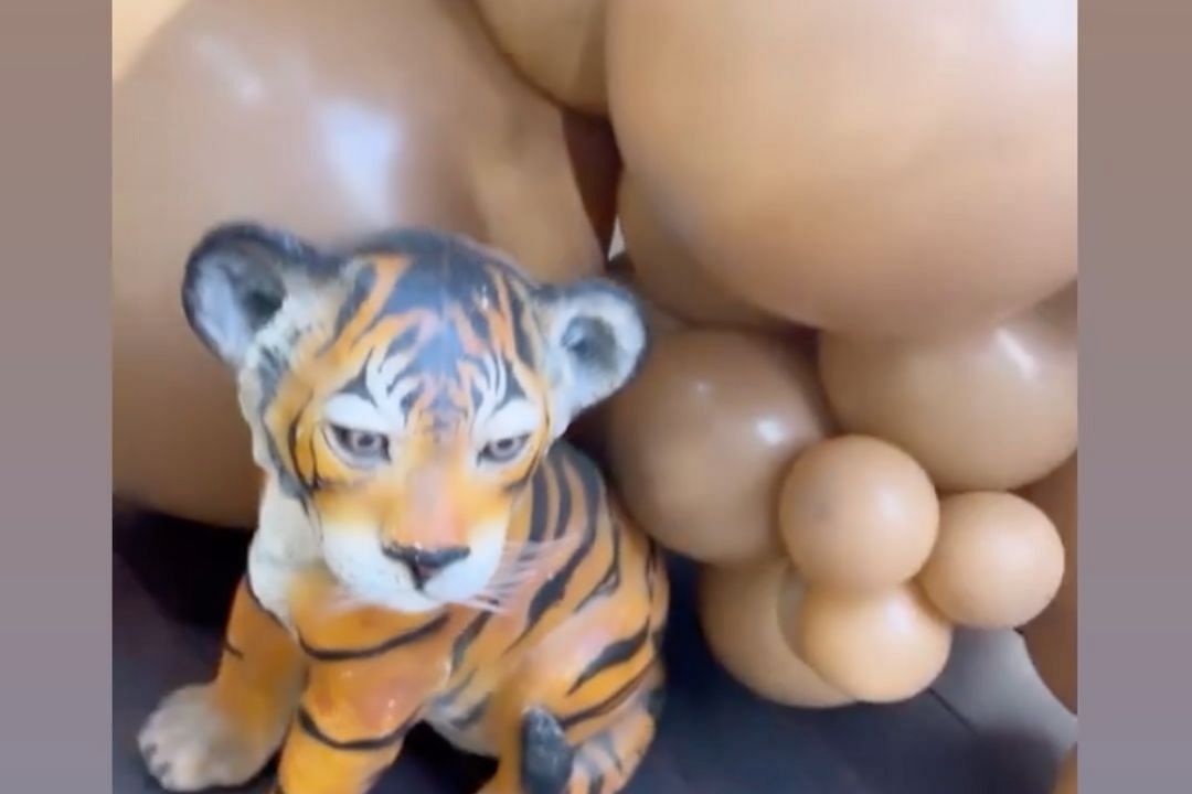 A tiger is a part of the baby shower festivities