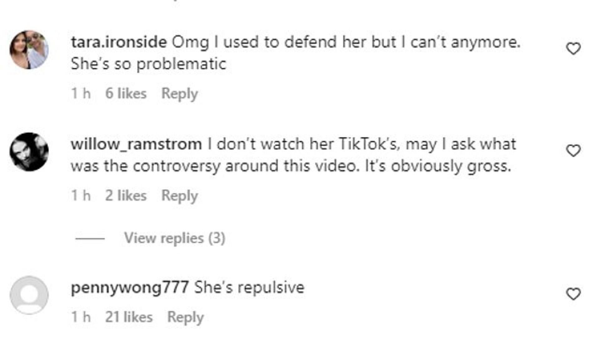 Netizens react to Mikaela Testa&#039;s now-deleted video (Image via @mikaelatesta/TikTok)