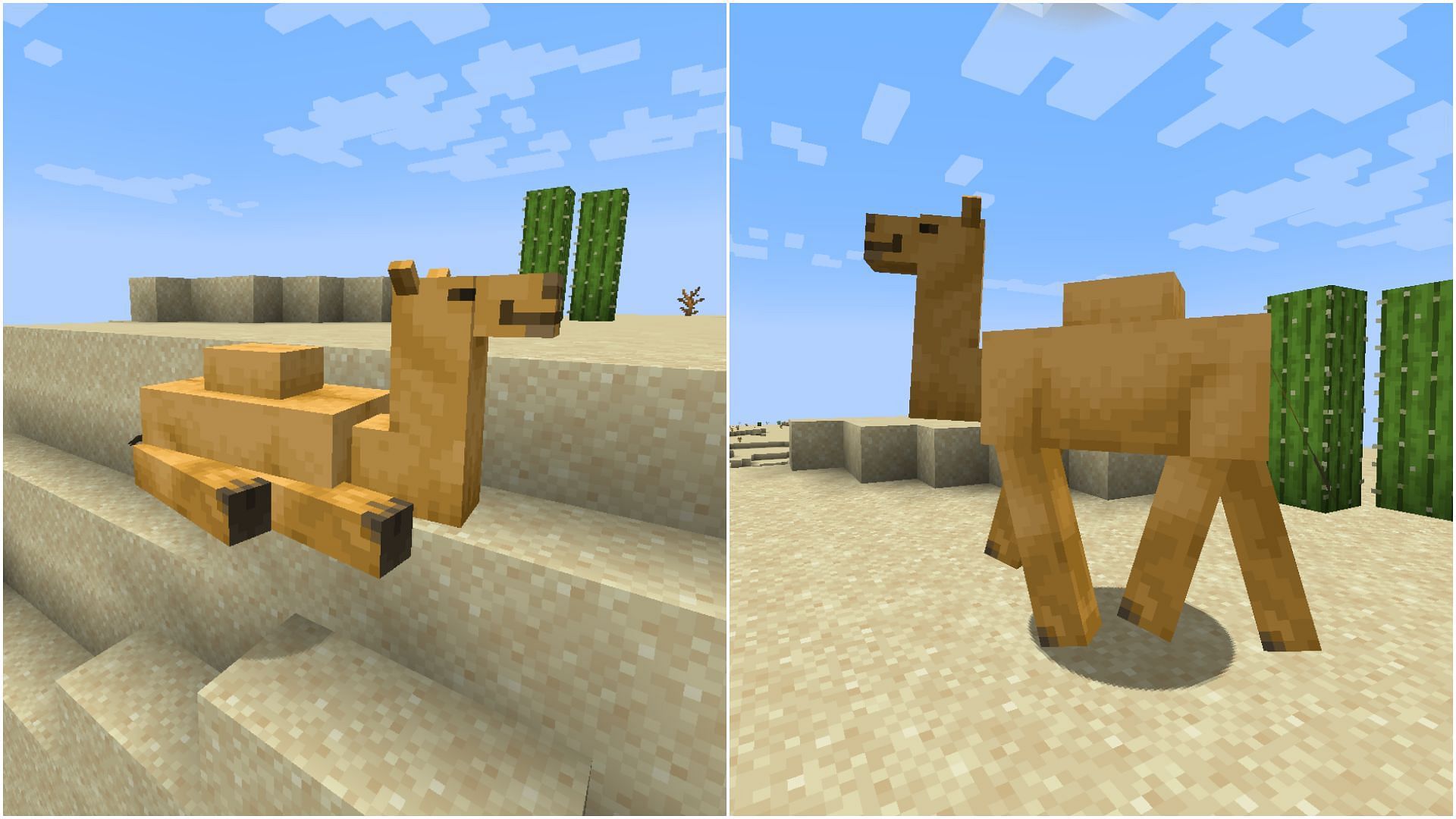 Camels are added with the Minecraft snapshot 22w42a (Image via Sportskeeda)
