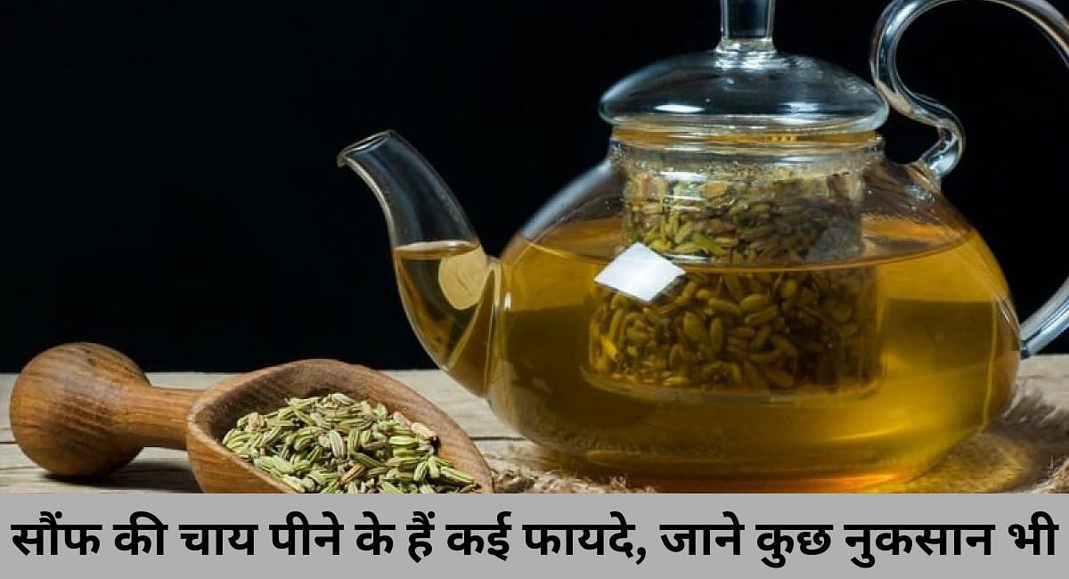 सौंफ की चाय पीने के हैं कई फायदे, जाने कुछ नुकसान भी(फोटो-Sportskeeda hindi)