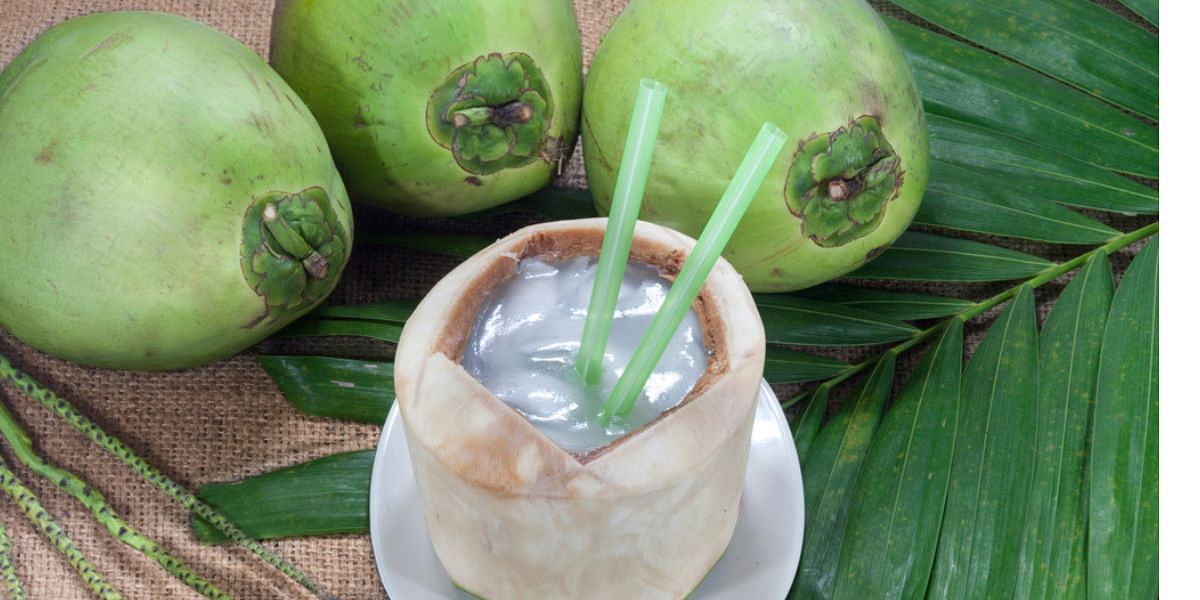 नारियल पानी 