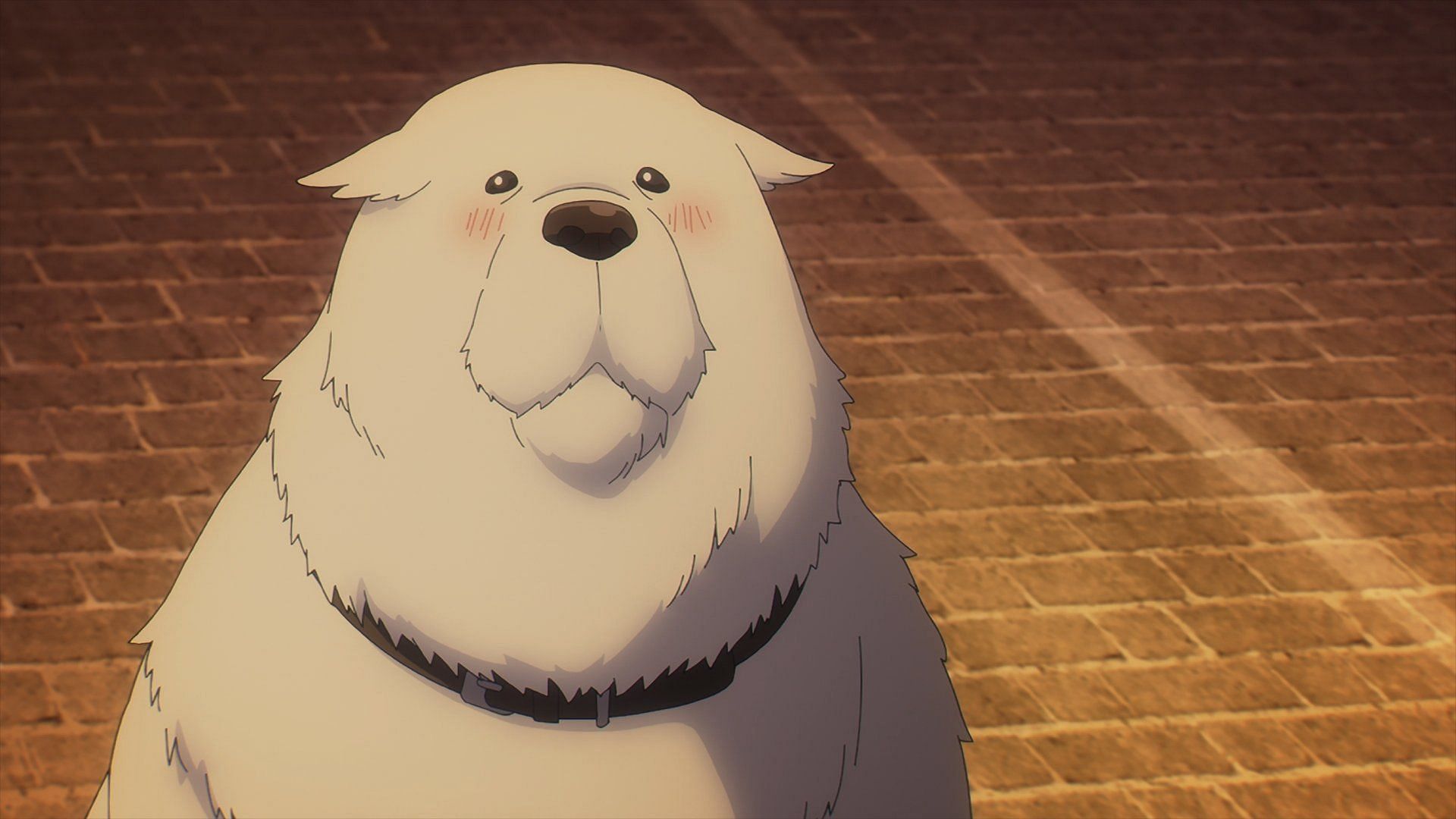 The white dog blushing in Spy X Family episode 15 (Image via Wit Studio)