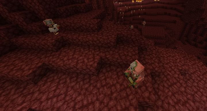 Nether Wastes in Minecraft