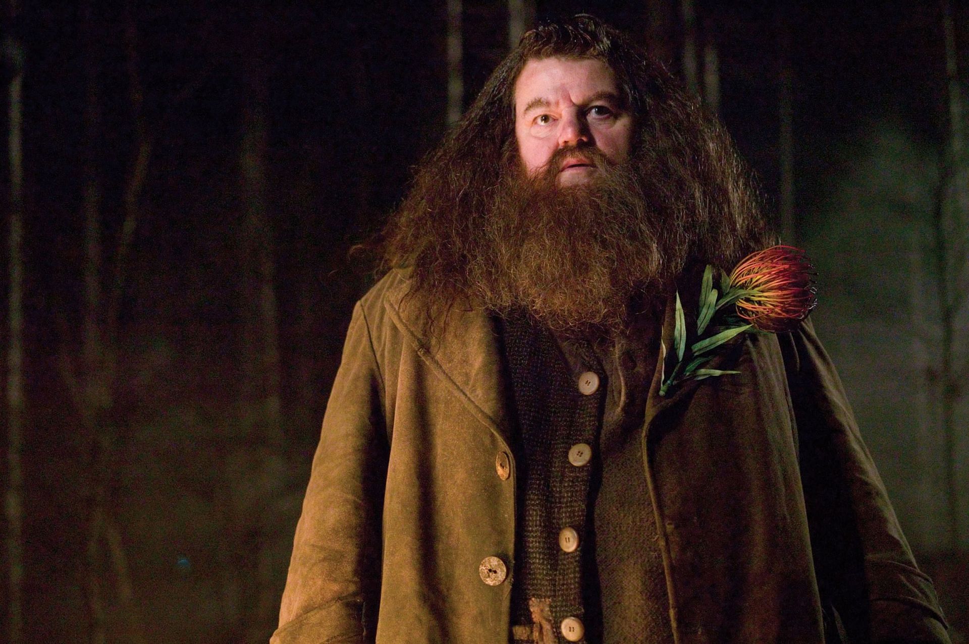 Robbie Coltrane as Hagrid (Image via Warner Bros. Pictures)