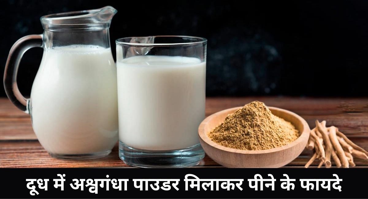 दूध में अश्वगंधा पाउडर मिलाकर पीने के फायदे(फोटो-Sportskeeda hindi)