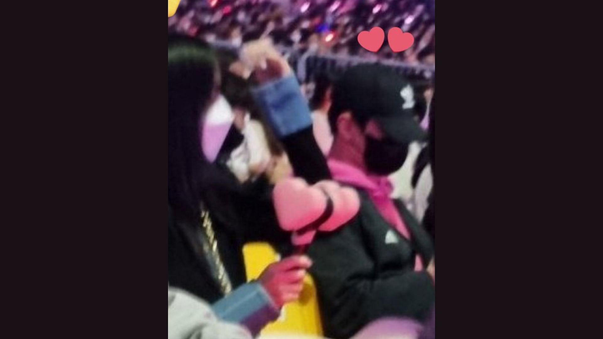 Park Bo-gum (in the black hoodie) was also seen cheering on the BLACKPINK members at their concert (Image via Twitter/LaliceUpdates)
