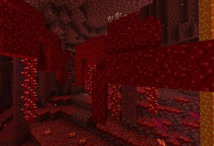 Fungus in Minecraft