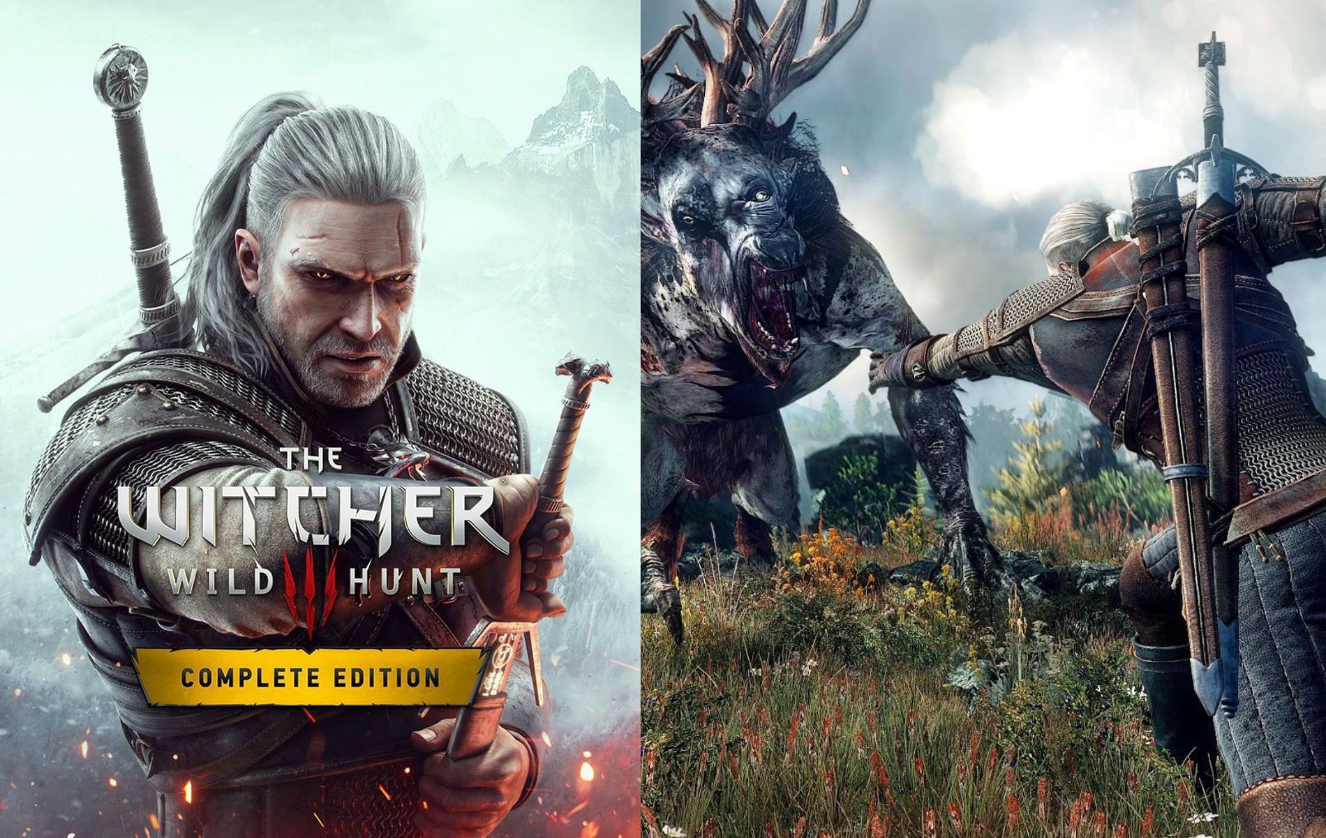 The witcher 3 hunt or be hunted cover фото 16