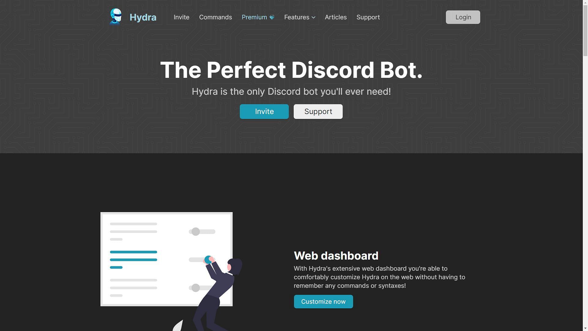 The official website of Hydra Bot (Image by Sportskeeda)