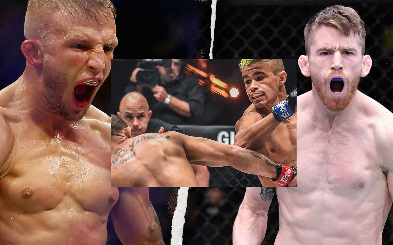 TJ Dillashaw (left), Fabricio Andrade fighting John Lineker (middle), and Cory Sandhagen (right)