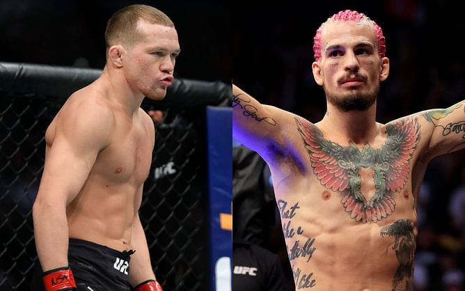 "After Petr Yan sends u into the shadow realm, are u still gonna claim that you're 'Undefeated'?" - Fans troll Sean O'Malley after 'Sugar' claims he can't wait to "beat up" 'No Mercy' at UFC 280