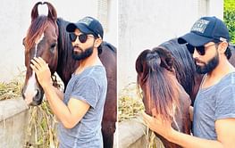 T20 World Cup 2022: "My crush" - Team India all-rounder Ravindra Jadeja poses with his beloved horse