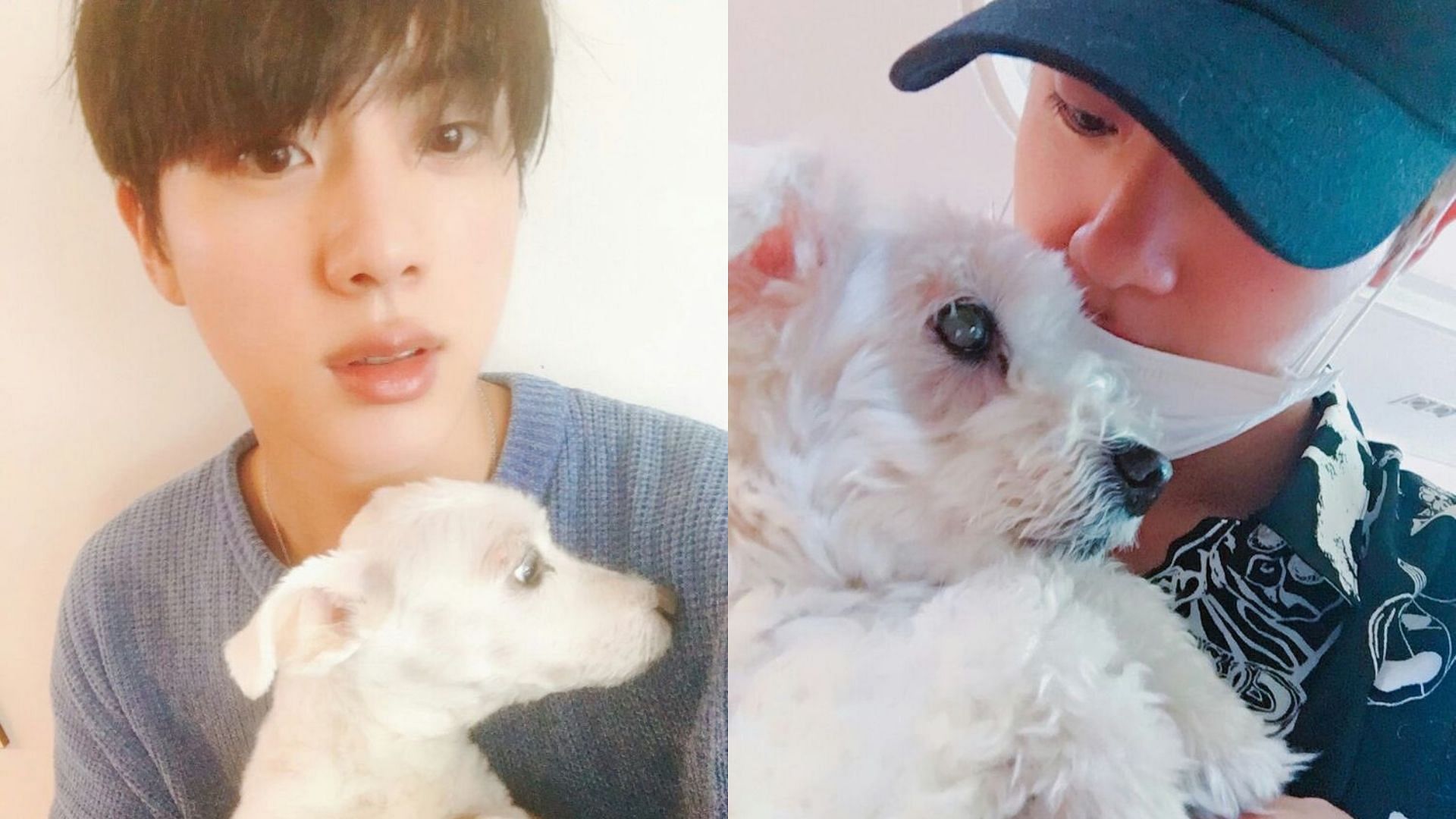 BTS Jin features alongside his late dog Jjangu in The Astronaut