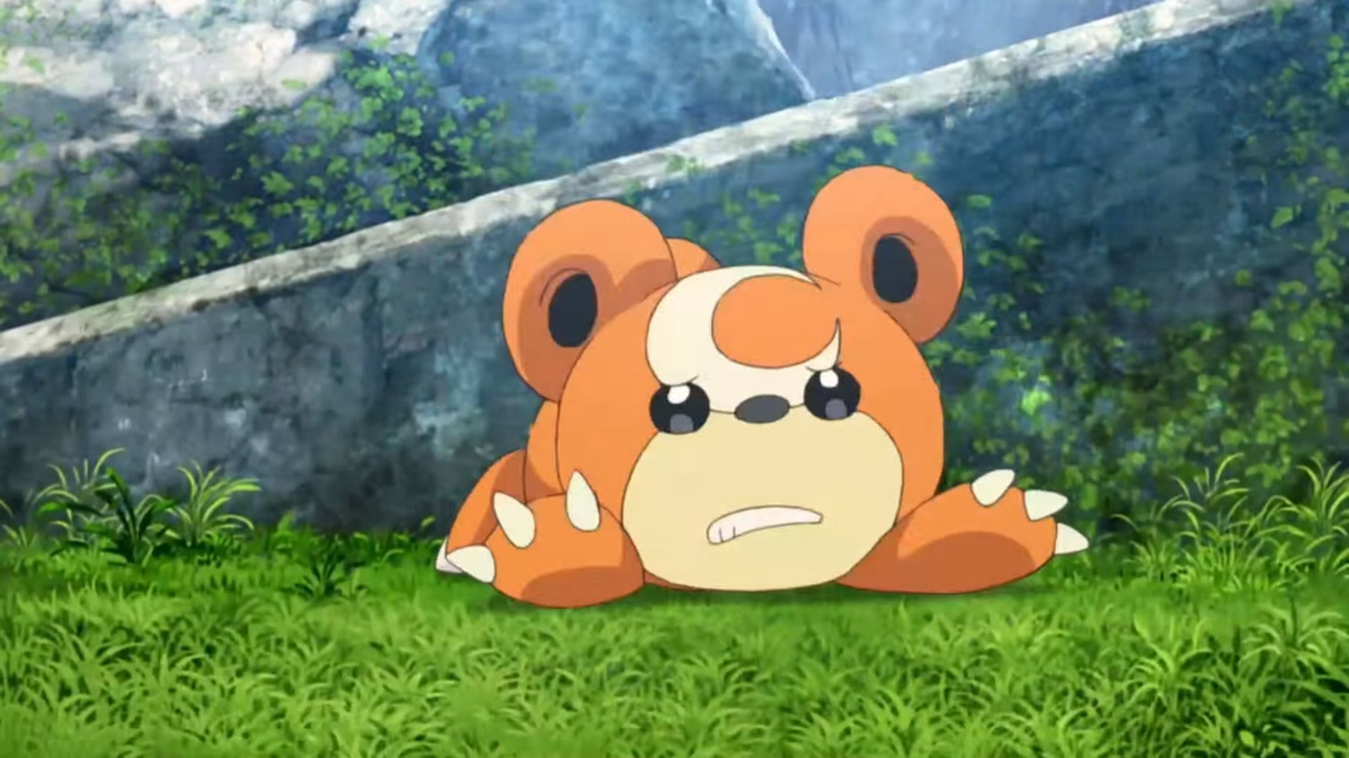 Teddiursa as it appears in the anime (Image via The Pokemon Company)