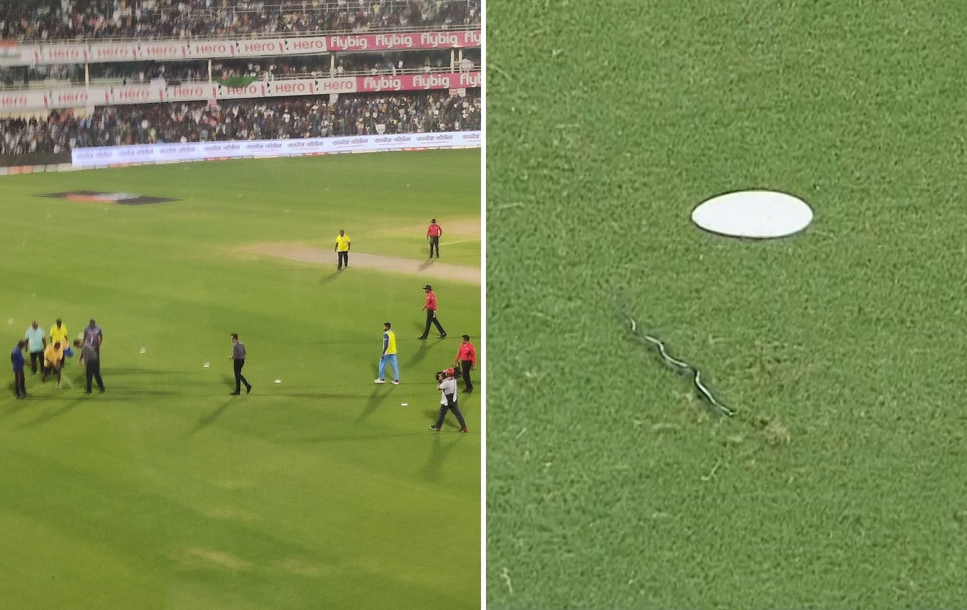 The snake was spotted by a few South African players. (Pics: Disney+Hotstar/Twitter)