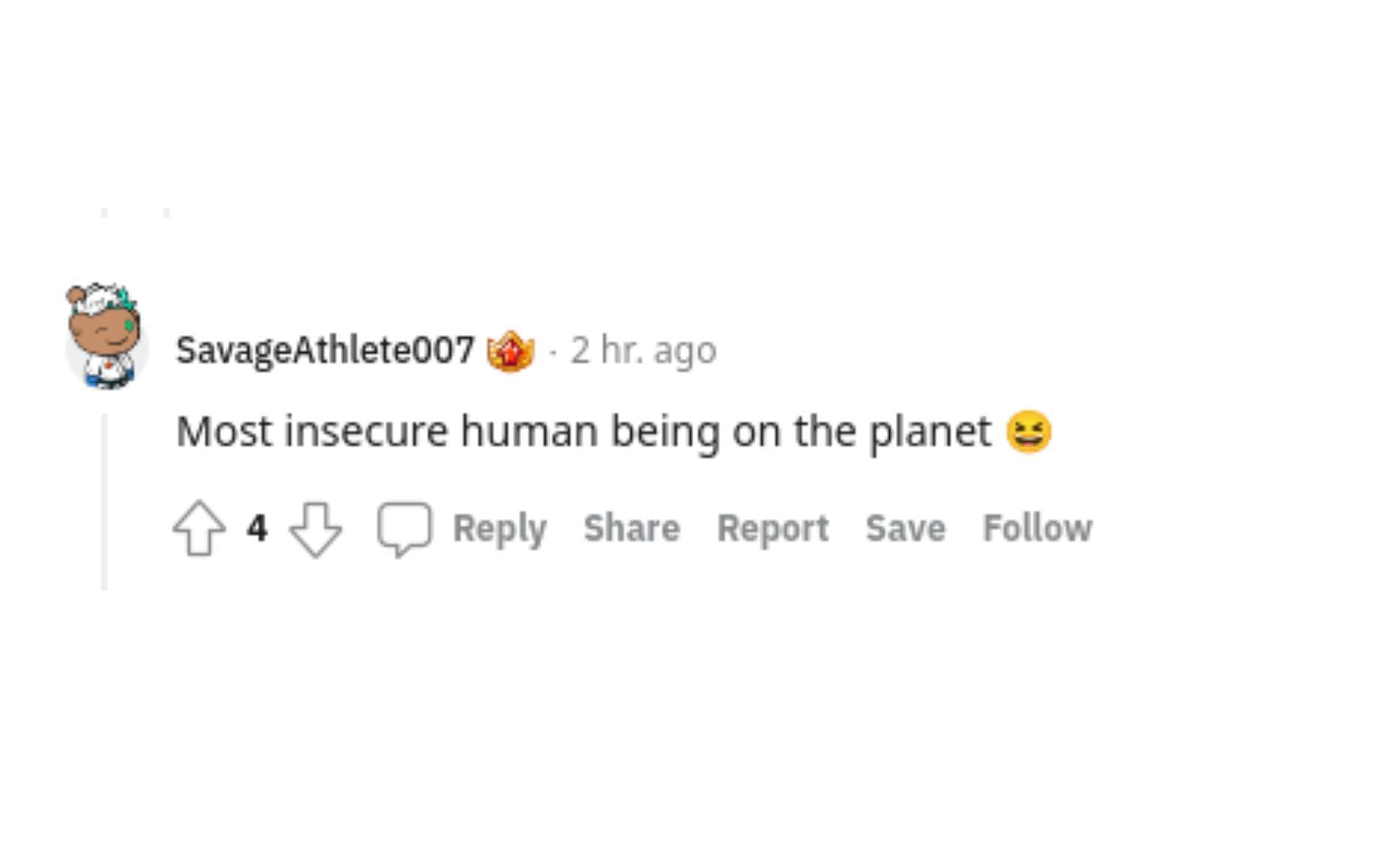 A Reddit user's comment
