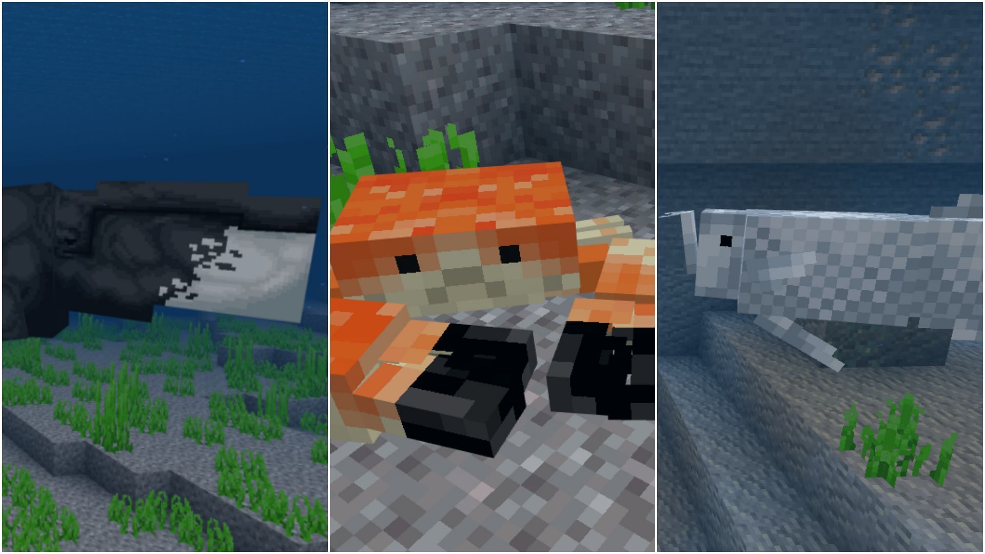 Minecraft Redditor creates mod to add more aquatic mobs